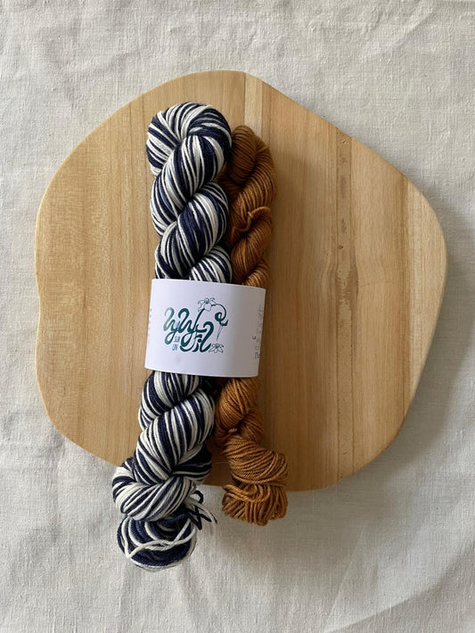 Kit Chaussettes Autorayant 50g + 20g - Lyly sur un fil