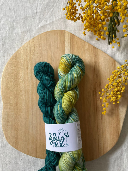 Coloris Exclusif Sophia Welna 50g + 20g - Lyly sur un fil
