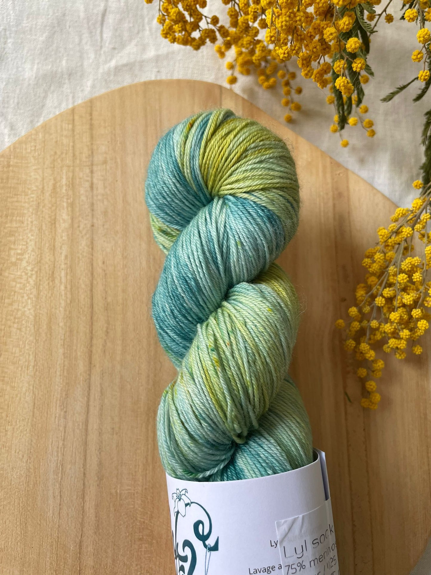 Coloris Exclusif Sophia Welna 100g - Lyly sur un fil