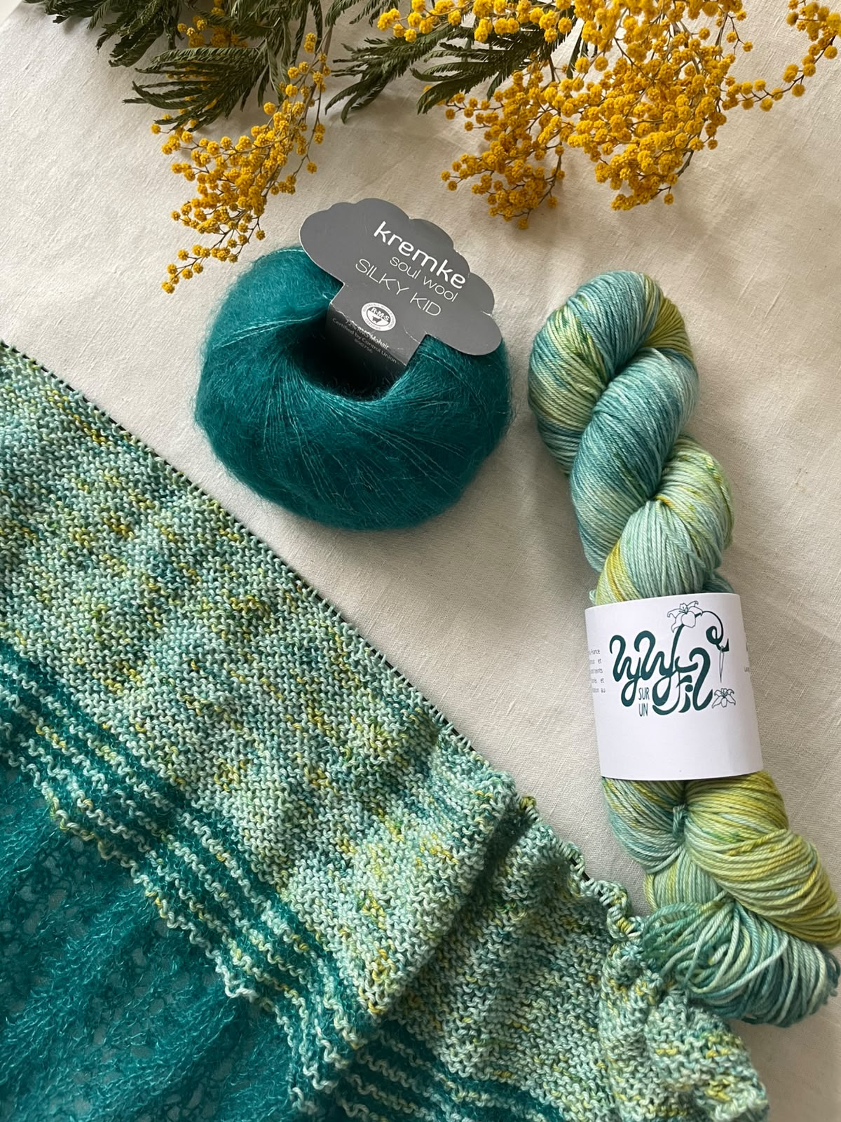 Coloris Exclusif Sophia Welna 100g - Lyly sur un fil