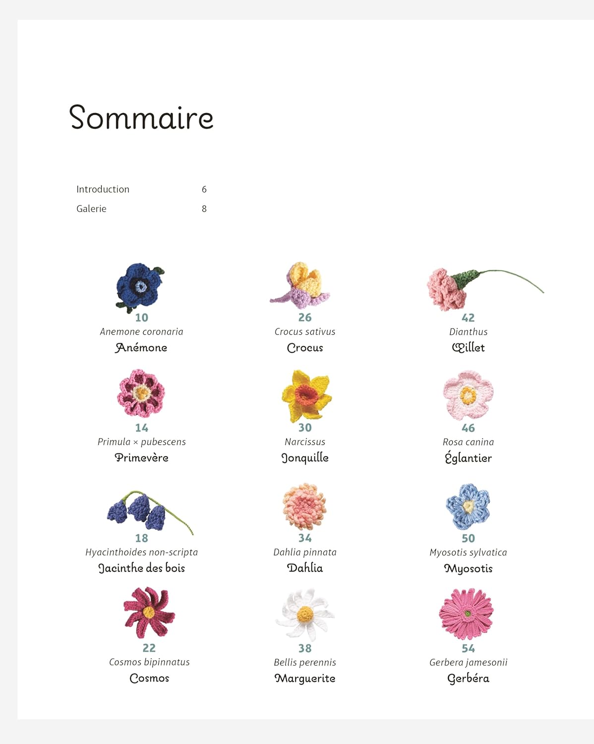 Fleurs au crochet - 28 modèles de fleurs à crocheter