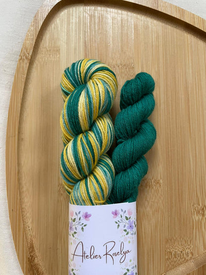 Kit chaussettes autorayant - coloris Exclusif Sophia Welna - Atelier Roselya