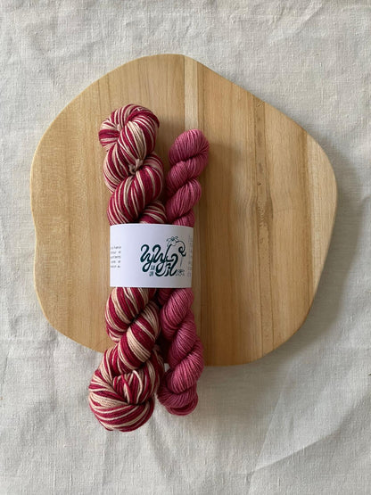 Kit Chaussettes Autorayant 50g + 20g - Lyly sur un fil