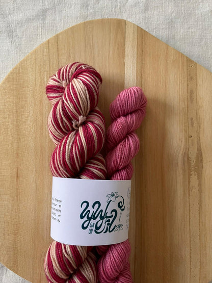 Kit Chaussettes Autorayant 50g + 20g - Lyly sur un fil