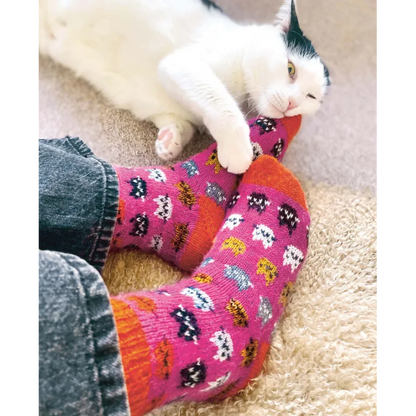 Chaussettes créatives à tricoter - Charlotte Stone