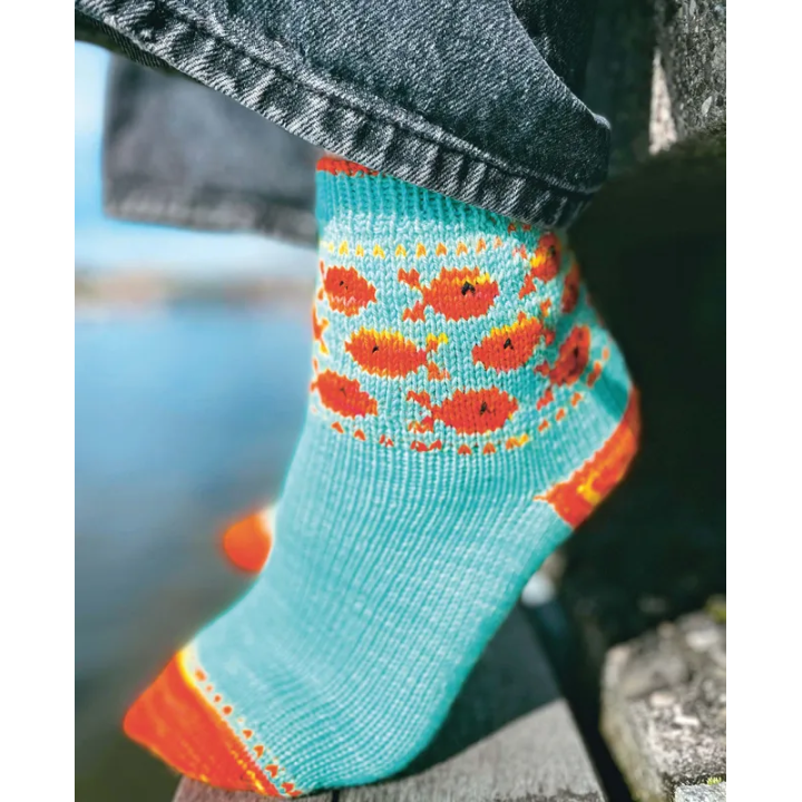 Chaussettes créatives à tricoter - Charlotte Stone